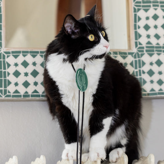 Green Desert Cactus Bolo Tie