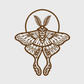 Moth Sticker